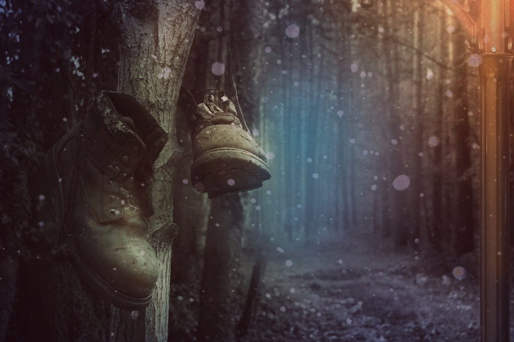 Lost Boots in Dark and Spooky Forest